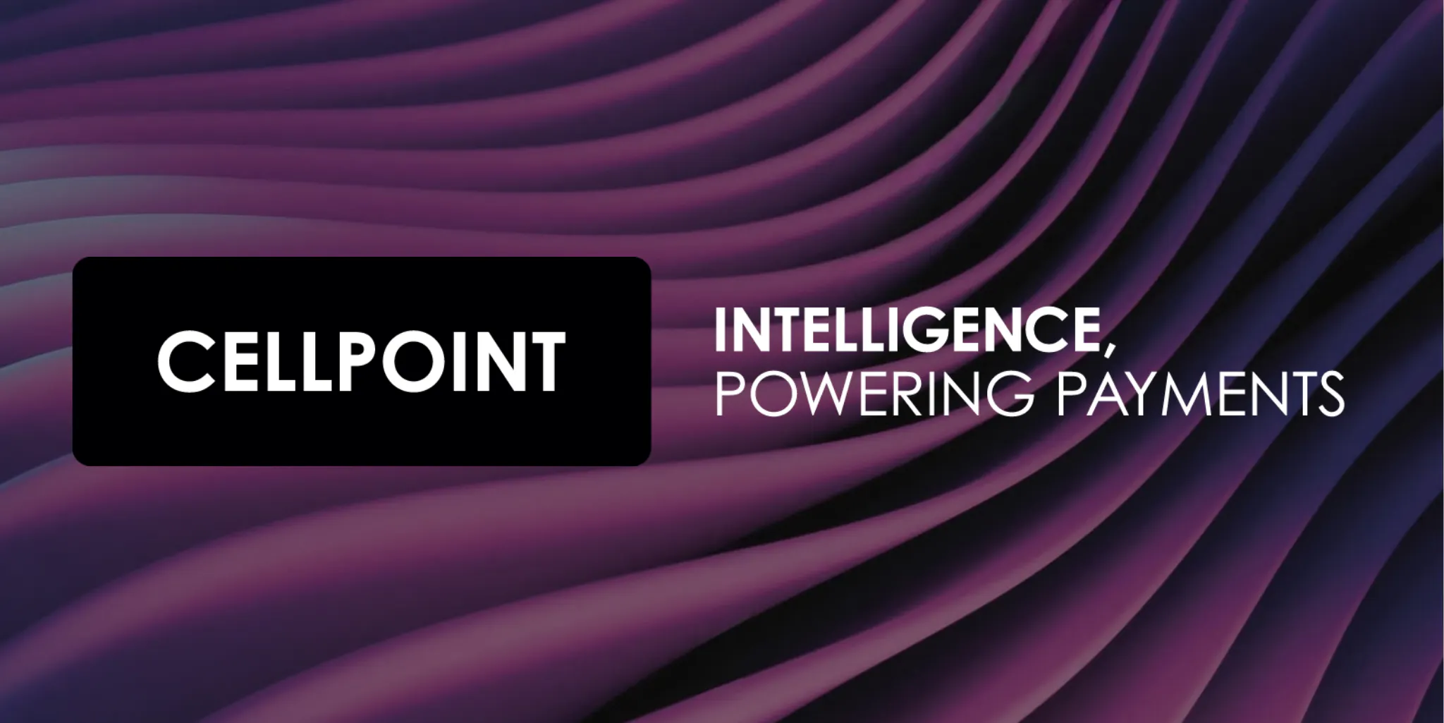 Appoints new leadership and secures 34m from Toscafund to launch Zenith its AI decisioning platform for airline and hospitality payments 1